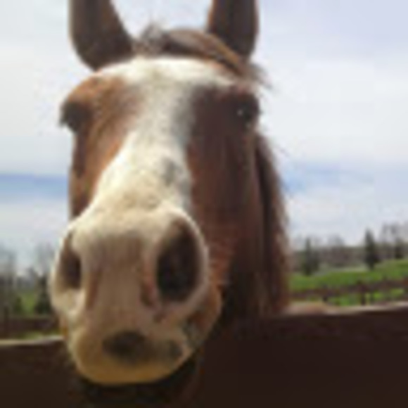 Meet your Posher, Wendy - Picture 1 of 1